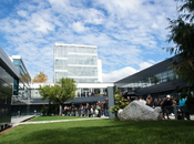 dsc-0024_175x130_crop_478b24840a