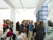 dsc-0138_175x130_crop_478b24840a