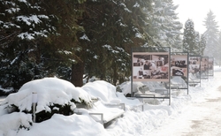 dobrovich-2_250x154_crop_478b24840a