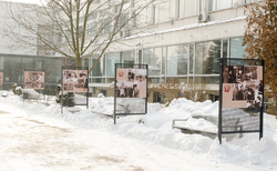 dsc-0003_250x154_crop_478b24840a