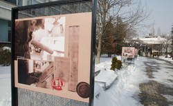 dsc-0020_250x154_crop_478b24840a