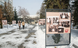 dsc-0024_250x154_crop_478b24840a