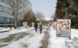 dsc-0015_250x154_crop_478b24840a